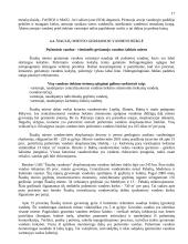 Vandens užterštumo problemos 17 puslapis