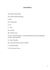 Burnos higienistų žinios apie vaikų burnos priežiūros ypatumus mišraus sąkandžio laikotarpiu  2 puslapis