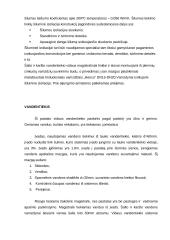 Vandentiekio sistemos 4 puslapis