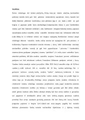 Vandentiekio sistemos 6 puslapis