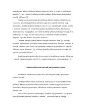 Vandentvarka. Vandens skaidrinimas kybančių dribsnių sluoksnyje 4 puslapis