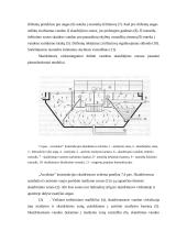 Vandentvarka. Vandens skaidrinimas kybančių dribsnių sluoksnyje 7 puslapis