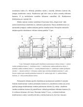 Vandentvarka. Vandens skaidrinimas kybančių dribsnių sluoksnyje 8 puslapis