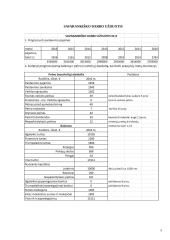 Biudžetų sudarymo ir kontrolės individualus darbas 4 puslapis