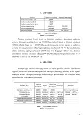 Biudžetų sudarymo ir kontrolės individualus darbas 9 puslapis