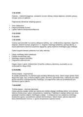 Gaisrai ir jų pasekmės Europoje