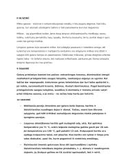 Gaisrai ir jų pasekmės Europoje 2 puslapis