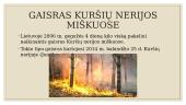 Gaisrai ir jų pasekmės Europoje. Skaidrės 16 puslapis