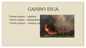 Gaisrai ir jų pasekmės Europoje. Skaidrės 3 puslapis