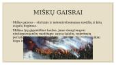 Gaisrai ir jų pasekmės Europoje. Skaidrės 7 puslapis