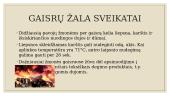Gaisrai ir jų pasekmės Europoje. Skaidrės 9 puslapis