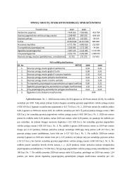 Elektrėnų komunalinio ūkio 2020 m. finansinių ataskaitų analizė 15 puslapis