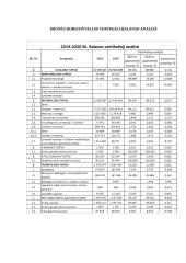 Elektrėnų komunalinio ūkio 2020 m. finansinių ataskaitų analizė 3 puslapis