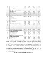 Elektrėnų komunalinio ūkio 2020 m. finansinių ataskaitų analizė 7 puslapis