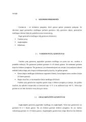 Gaisro sauga 4 puslapis