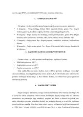 Gaisro sauga 6 puslapis