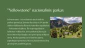 Nacionaliniai parkai. Skaidrės 10 puslapis