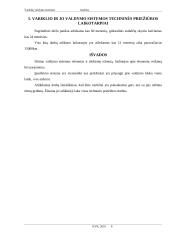 Variklio valdymo sistemos analizė: 2000 metų automobilis Toyota Corolla 8 puslapis