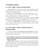Veiklos įvertinimas pagal E. W. Demingo 14 punktų: taikomasis programavimas UAB "Labbis" 7 puslapis