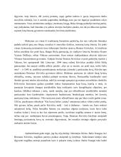 Literatūra – istorinės patirties liudytoja 3 puslapis