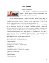 Veiklos įvertinimas remiantis kokybės vadybos principais: padangų ir ratlankių prekyba UAB "Melga" 8 puslapis