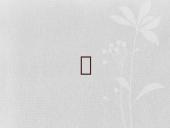 Ženklai ir simboliai 15 puslapis