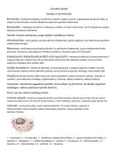 Augalinė ląstelė. Konspektas 2 puslapis