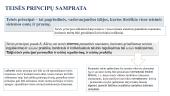 Teisės principai (skaidrės) 2 puslapis