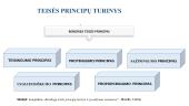 Teisės principai (skaidrės) 13 puslapis