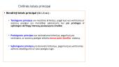 Teisės principai (skaidrės) 19 puslapis