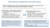 Teisės principai (skaidrės) 4 puslapis