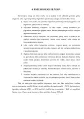 Sergančių plaučių uždegimu slauga 5 puslapis