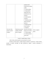 Sergančių plaučių uždegimu slauga 7 puslapis