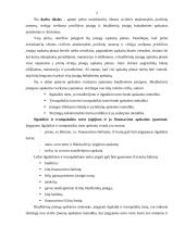 Veiklos sričių apskaitos ypatumai 2 puslapis