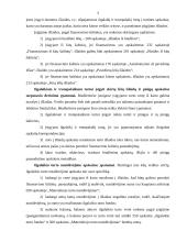 Veiklos sričių apskaitos ypatumai 3 puslapis