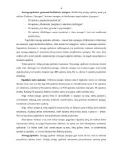 Veiklos sričių apskaitos ypatumai 4 puslapis