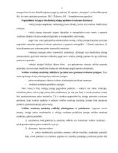 Veiklos sričių apskaitos ypatumai 5 puslapis