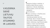 Vinco Kudirkos asmenybė 10 puslapis