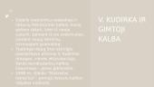 Vinco Kudirkos asmenybė 11 puslapis