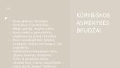 Vinco Kudirkos asmenybė 3 puslapis