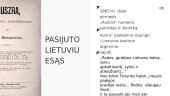 Vinco Kudirkos asmenybė 4 puslapis