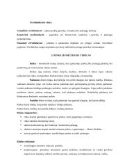 Verslas Lietuvoje 3 puslapis