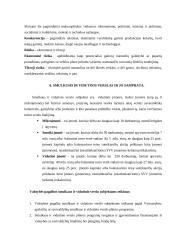 Verslas Lietuvoje 5 puslapis