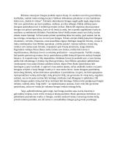 Sudėtingų žmogaus pasirinkimų vaizdavimas lietuvių prozoje 2 puslapis