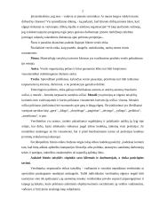 Verslininko etikos kodeksas 2 puslapis