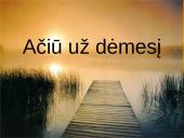 Istorijos ženklai Antano Škėmos romane „Balta drobulė" 11 puslapis