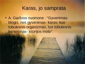 Istorijos ženklai Antano Škėmos romane „Balta drobulė" 8 puslapis