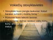 Istorijos ženklai Antano Škėmos romane „Balta drobulė" 9 puslapis