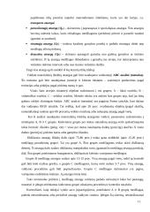 Verslo ekonomikos uždaviniai 11 puslapis