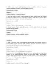 Ugdomosios veiklos ilgalaikis planas 5-6 metų vaikams 3 puslapis